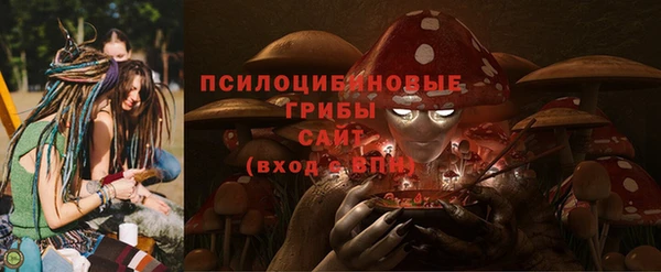 mdpv Магас