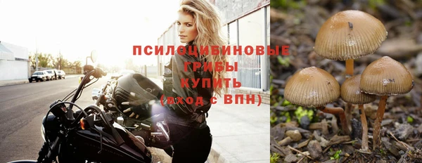 герыч Магадан