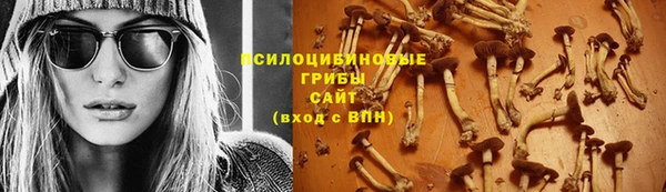 a pvp Майский