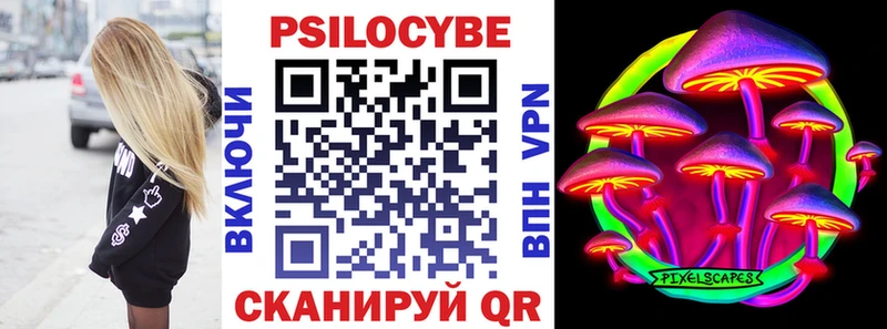 закладка Туапсе Галлюциногенные грибы MAGIC MUSHROOMS