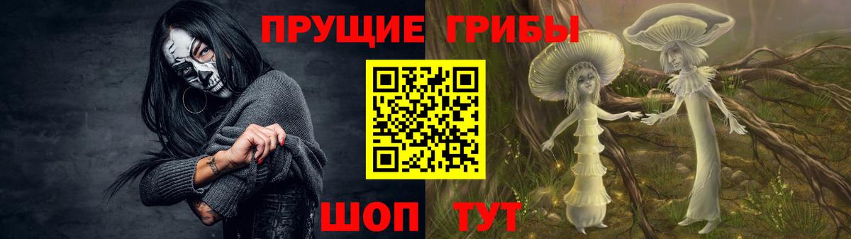 Псилоцибиновые грибы Cubensis Туапсе